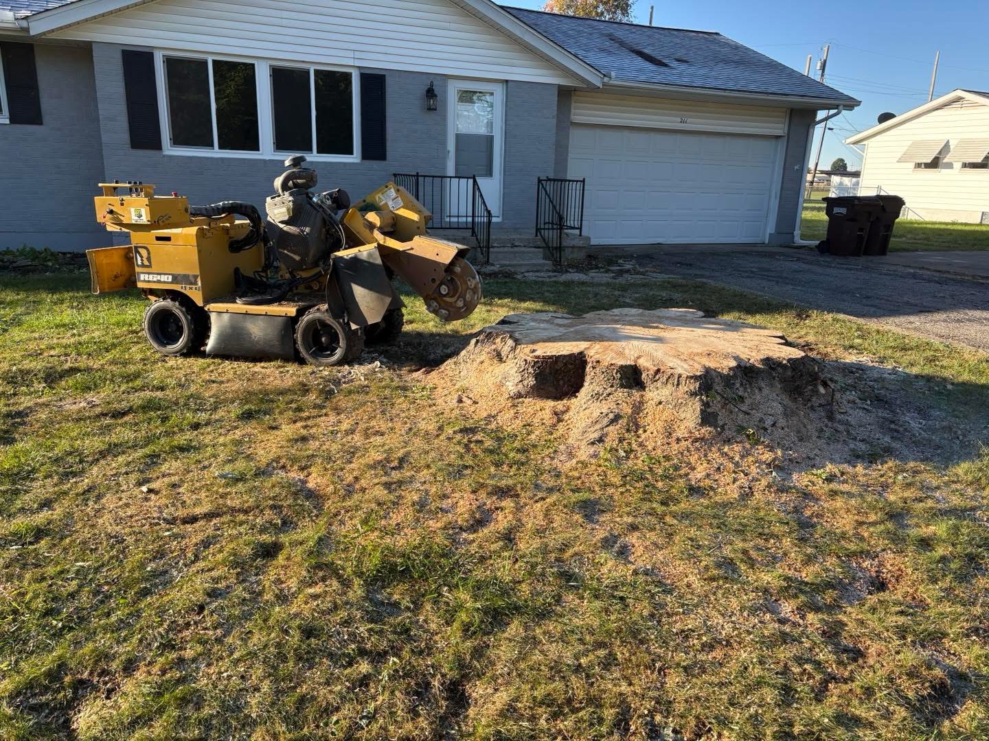 Worley's Stump Grinding crew grinding a tree stump in an Eaton, OH backyard