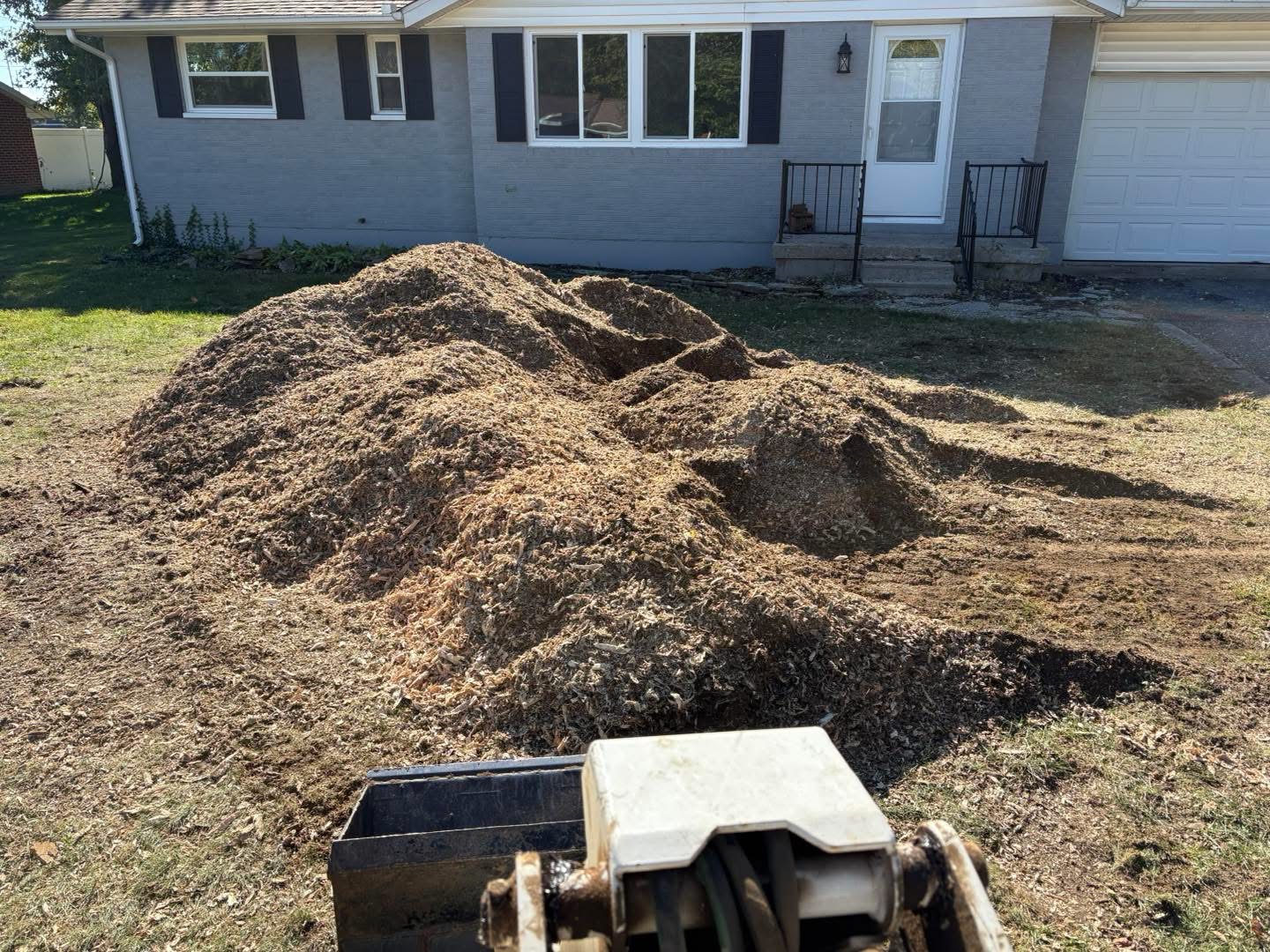 Mulch from a freshly ground stump